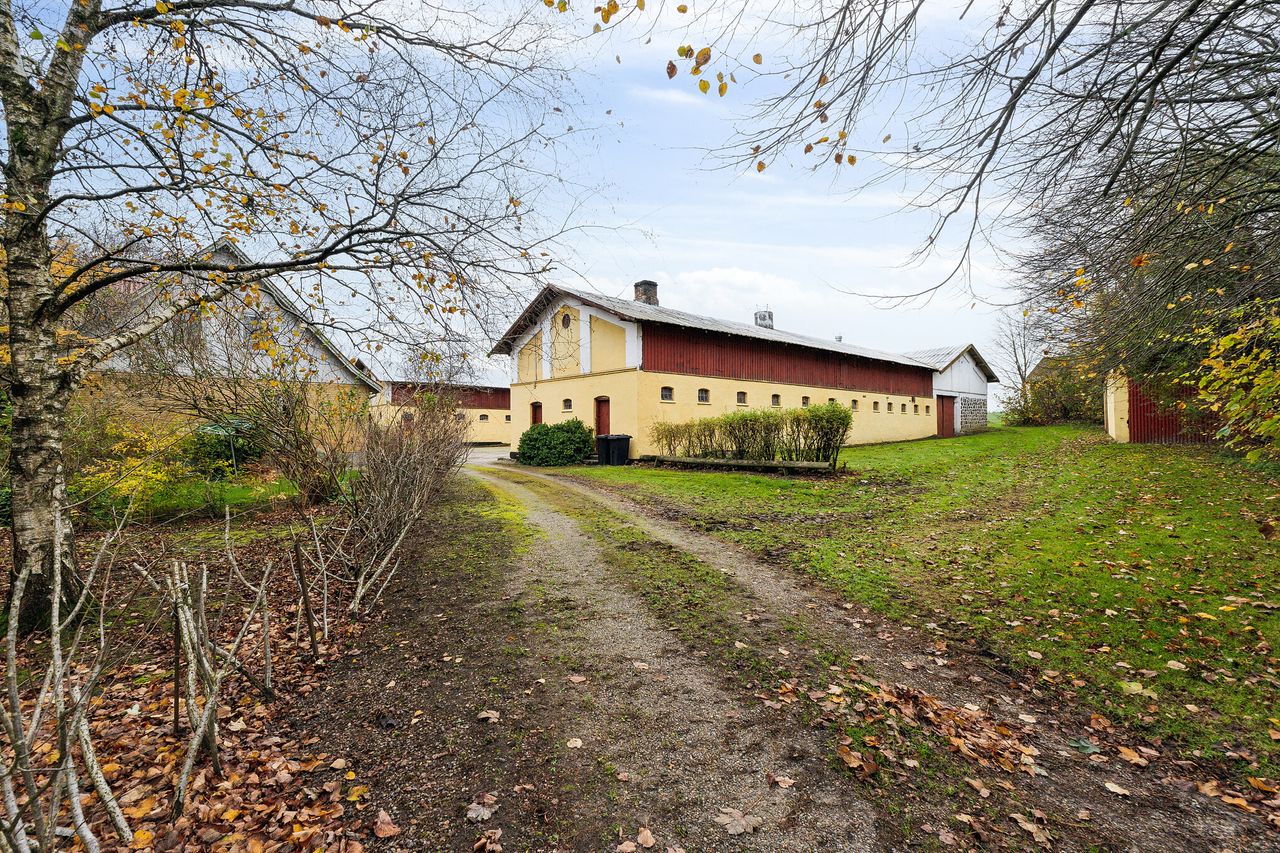 image 03