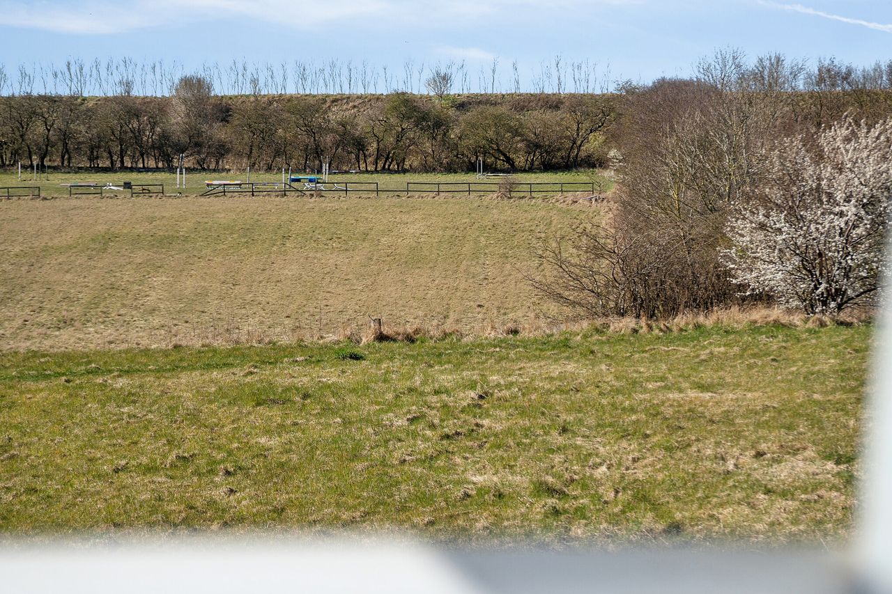 image 03