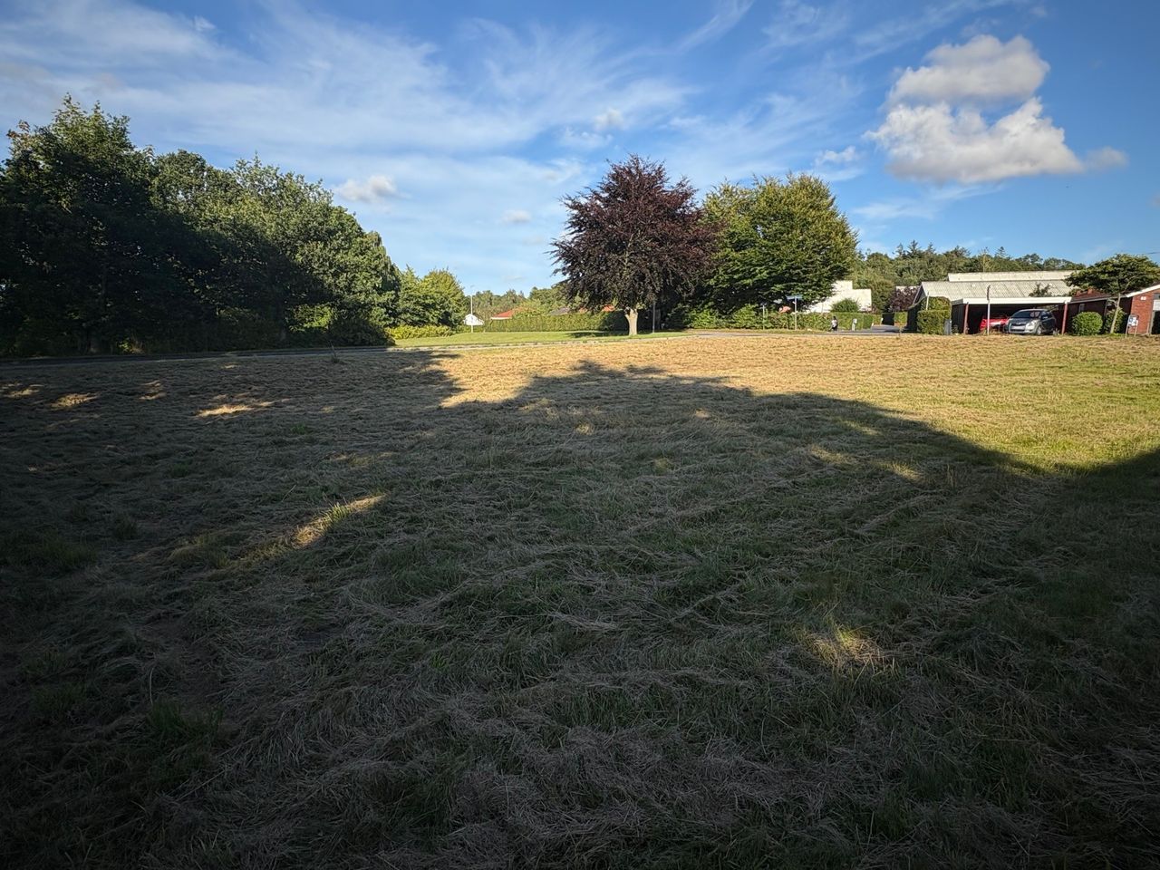 image 04